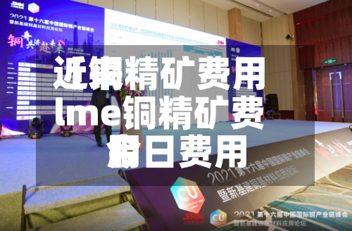 近来【铜精矿费用lme铜精矿费用今日费用】-第2张图片