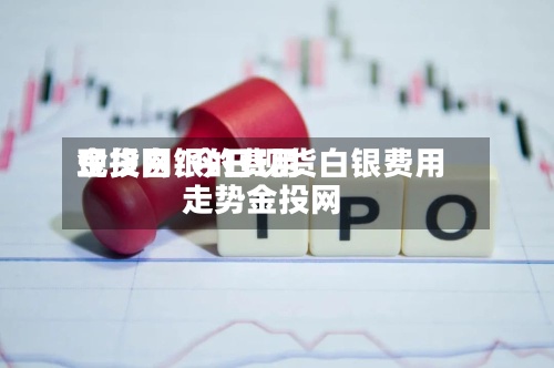 现货白银的费用金投网/今日现货白银费用走势金投网-第3张图片