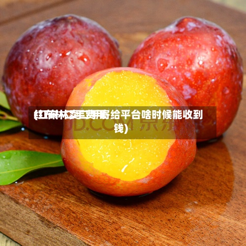 红布林二手费用(红布林卖二手寄给平台啥时候能收到钱)