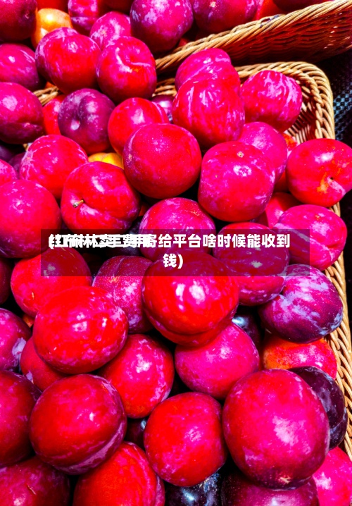 红布林二手费用(红布林卖二手寄给平台啥时候能收到钱)-第3张图片