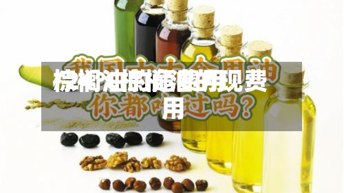 棕榈油的危费用
/24℃棕榈油的现费用
-第3张图片
