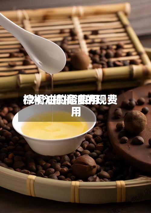 棕榈油的危费用
/24℃棕榈油的现费用
-第2张图片