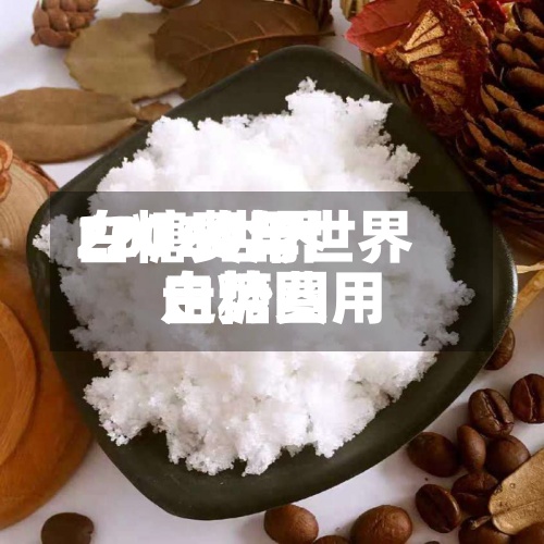 2016世界白糖费用/2020年世界白糖费用走势图