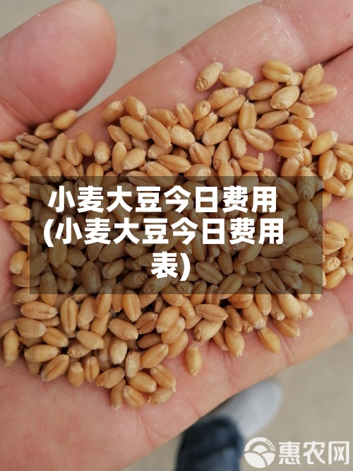 小麦大豆今日费用(小麦大豆今日费用表)-第3张图片