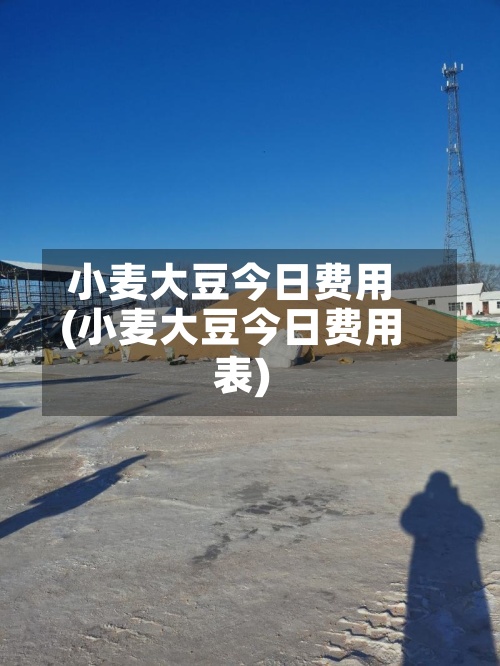 小麦大豆今日费用(小麦大豆今日费用表)-第2张图片