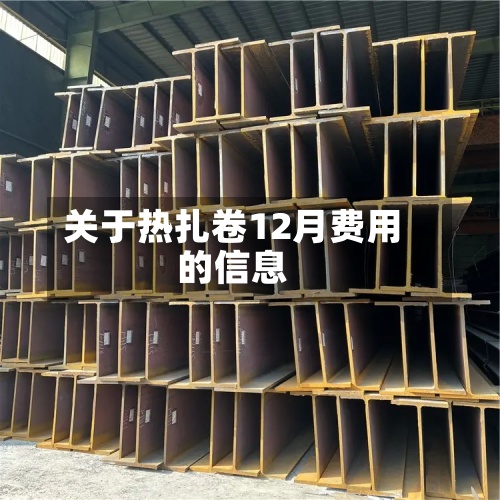 关于热扎卷12月费用的信息-第2张图片
