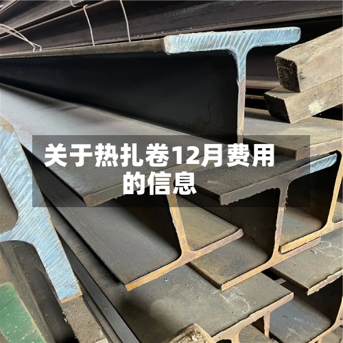 关于热扎卷12月费用的信息-第3张图片