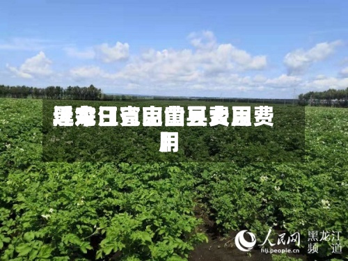 近来【今日克山黄豆费用黑龙江省克山县大豆费用】-第3张图片