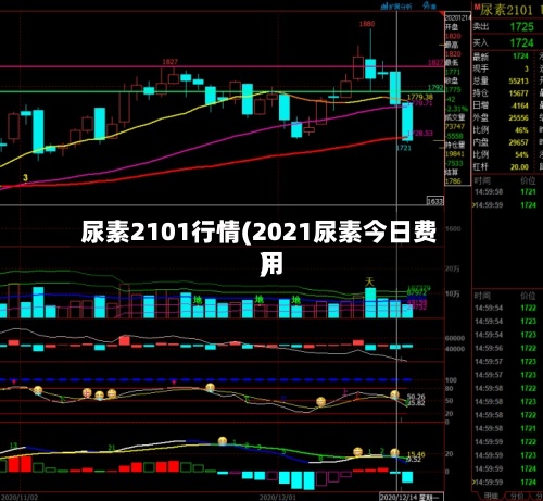 尿素2101行情(2021尿素今日费用)-第2张图片