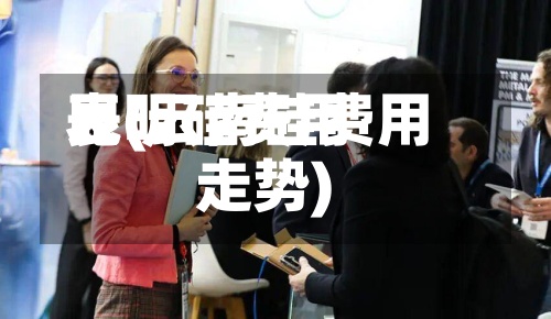 昆明硅费用表(云南硅费用走势)-第2张图片