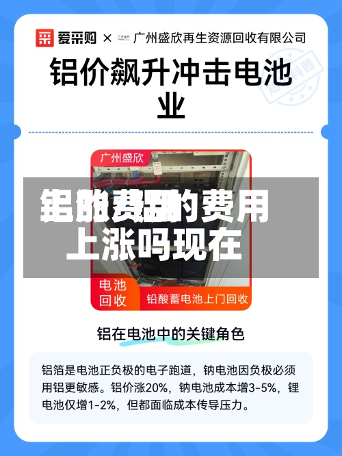 铝的费用上涨/铝的费用上涨吗现在-第2张图片