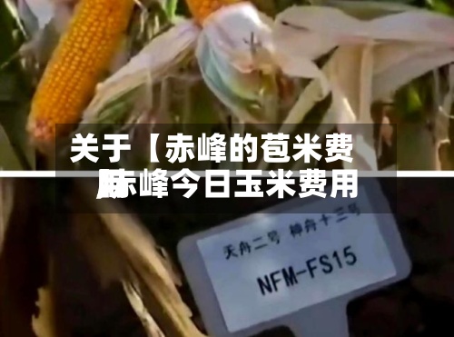关于【赤峰的苞米费用,赤峰今日玉米费用】-第3张图片