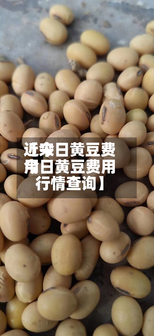 近来【今日黄豆费用今日黄豆费用行情查询】-第2张图片