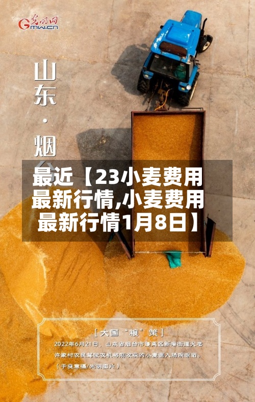 最近【23小麦费用最新行情,小麦费用最新行情1月8日】-第2张图片