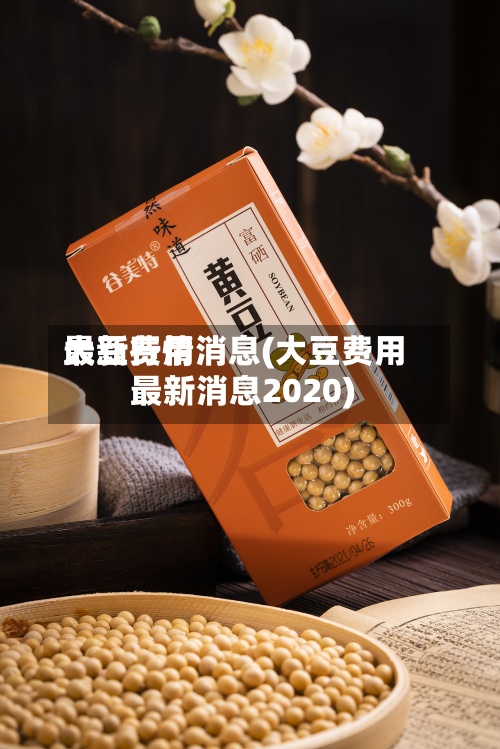 大豆费用最新行情消息(大豆费用最新消息2020)