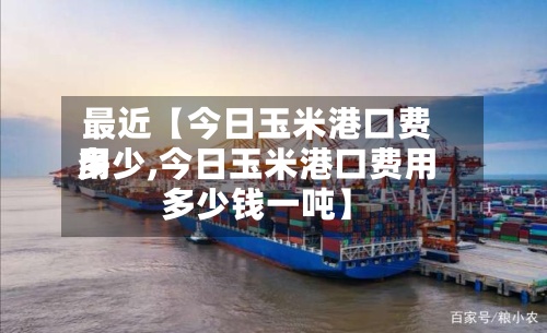 最近【今日玉米港口费用多少,今日玉米港口费用多少钱一吨】-第2张图片