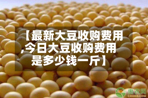 【最新大豆收购费用,今日大豆收购费用是多少钱一斤】-第2张图片