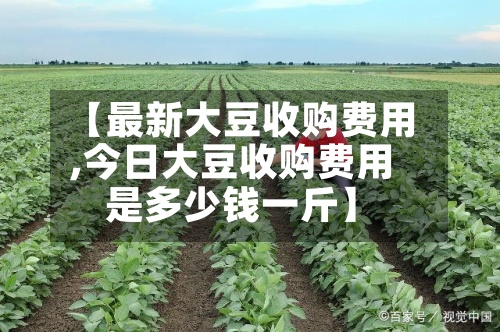 【最新大豆收购费用,今日大豆收购费用是多少钱一斤】-第3张图片