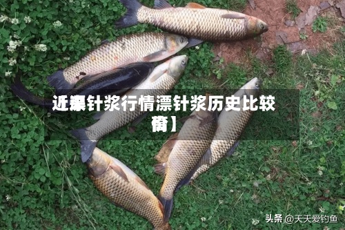 近来【漂针浆行情漂针浆历史比较高价】-第3张图片