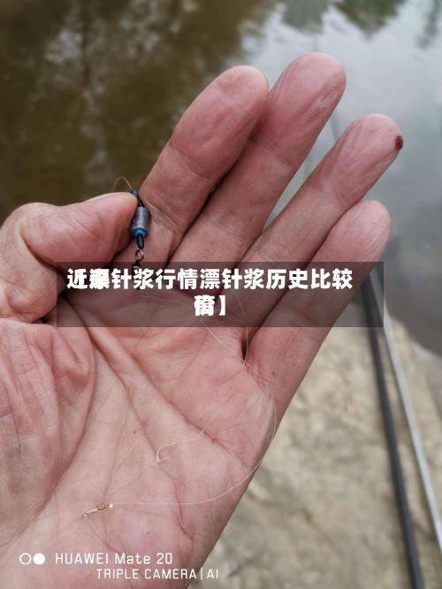 近来【漂针浆行情漂针浆历史比较高价】