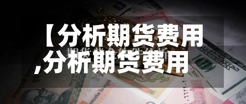【分析期货费用,分析期货费用的软件】