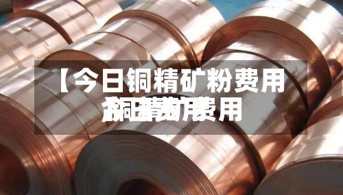 【今日铜精矿粉费用,铜精矿费用今日费用】-第2张图片