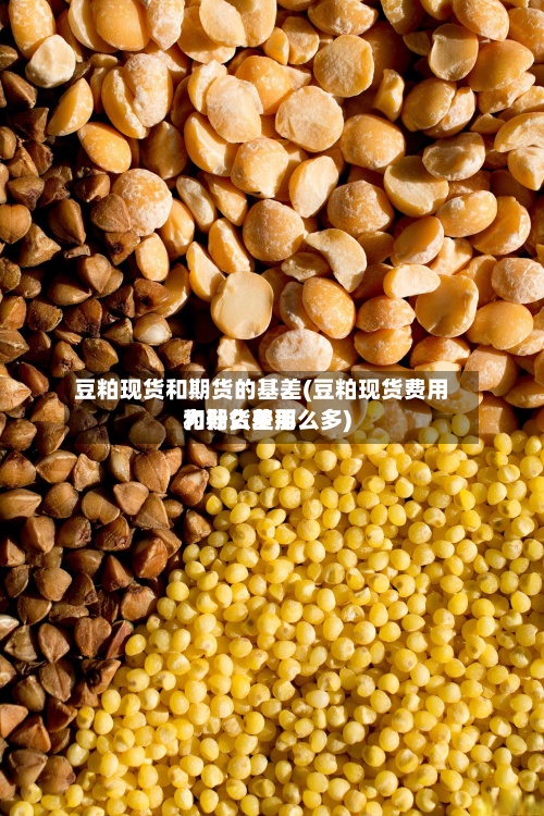 豆粕现货和期货的基差(豆粕现货费用和期货费用为什么差那么多)-第2张图片