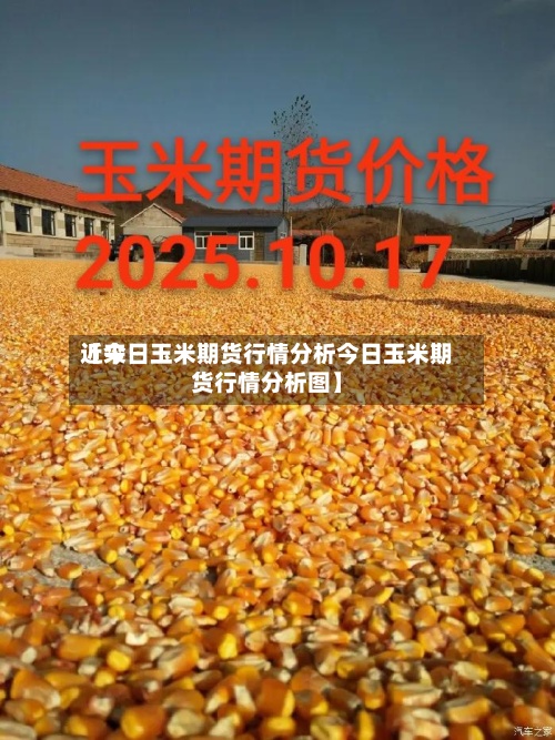 近来【今日玉米期货行情分析今日玉米期货行情分析图】-第3张图片