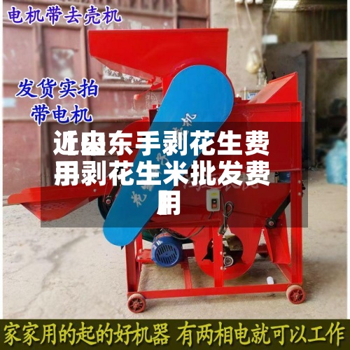 近来【山东手剥花生费用手剥花生米批发费用】-第3张图片