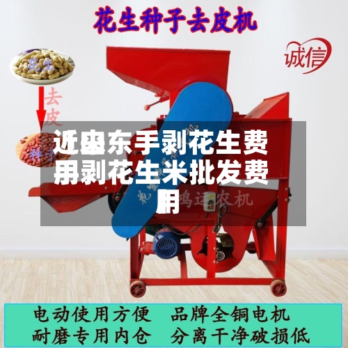 近来【山东手剥花生费用手剥花生米批发费用】-第2张图片