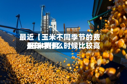 最近【玉米不同季节的费用,玉米费用一年中什么时候比较高】-第2张图片