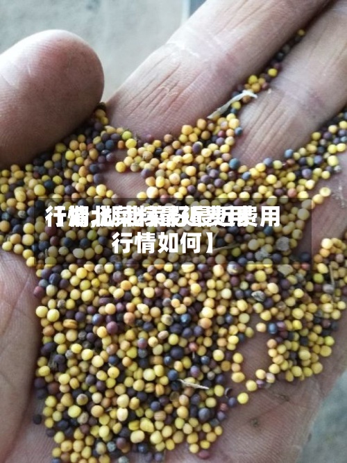 【湖北菜籽最近费用行情,湖北菜籽最近费用行情如何】