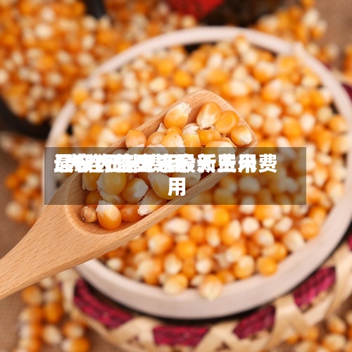 辽宁大连玉米最新费用/大连玉米费用最新行情大连今天玉米费用-第3张图片