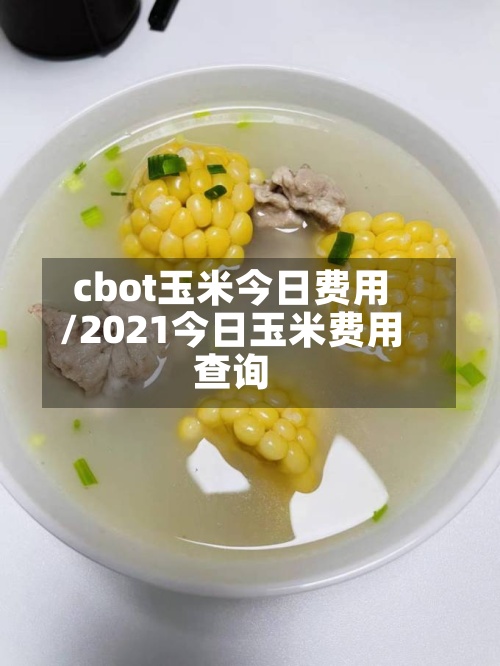 cbot玉米今日费用/2021今日玉米费用查询-第3张图片