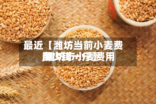 最近【潍坊当前小麦费用,潍坊市小麦费用多少钱一斤】