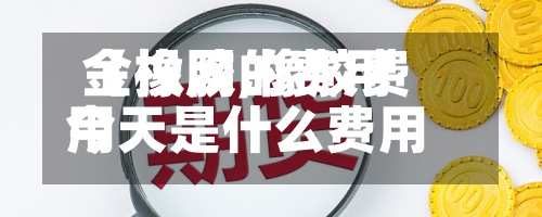 【橡胶的费用金投网,橡胶费用今天是什么费用】