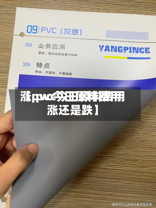 【pvc今日原料费用涨,pvc今日原料费用涨还是跌】-第3张图片