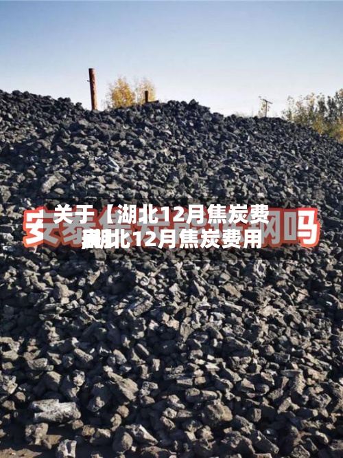 关于【湖北12月焦炭费用,湖北12月焦炭费用表】