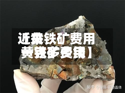 近来【黄铁矿费用黄铁矿费用一克多少钱】-第2张图片