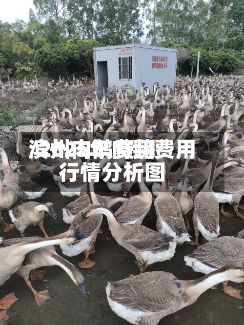 滨州肉鹅费用/2025年肉鹅费用行情分析图