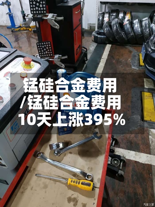 锰硅合金费用/锰硅合金费用10天上涨395%