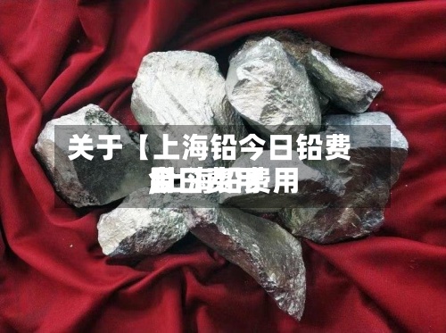 关于【上海铅今日铅费用,上海铅费用今日费用】-第2张图片