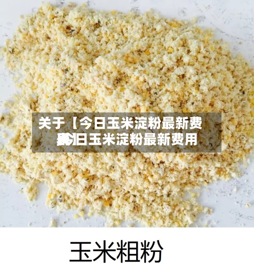 关于【今日玉米淀粉最新费用,今日玉米淀粉最新费用表】-第2张图片
