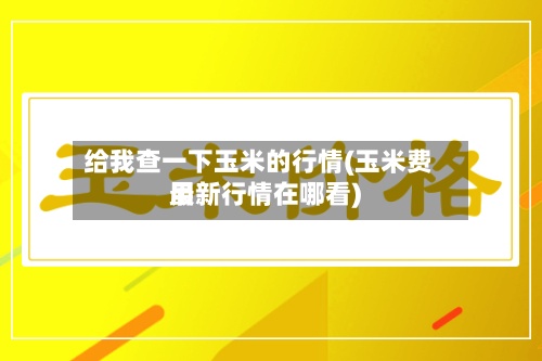 给我查一下玉米的行情(玉米费用最新行情在哪看)