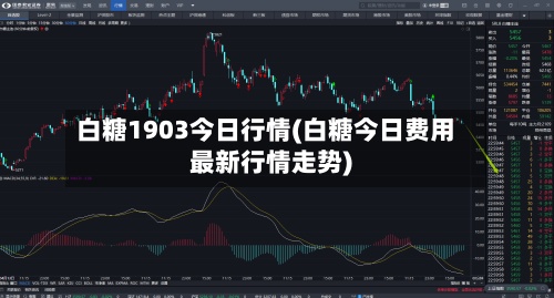 白糖1903今日行情(白糖今日费用最新行情走势)-第2张图片