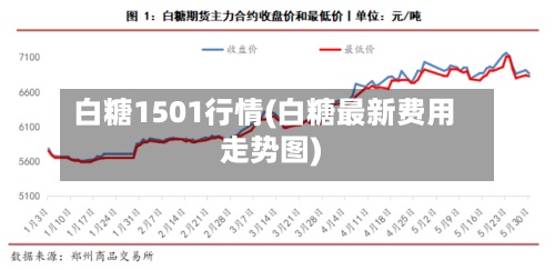 白糖1501行情(白糖最新费用走势图)