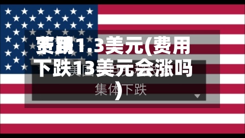 费用下跌1.3美元(费用下跌13美元会涨吗)-第2张图片