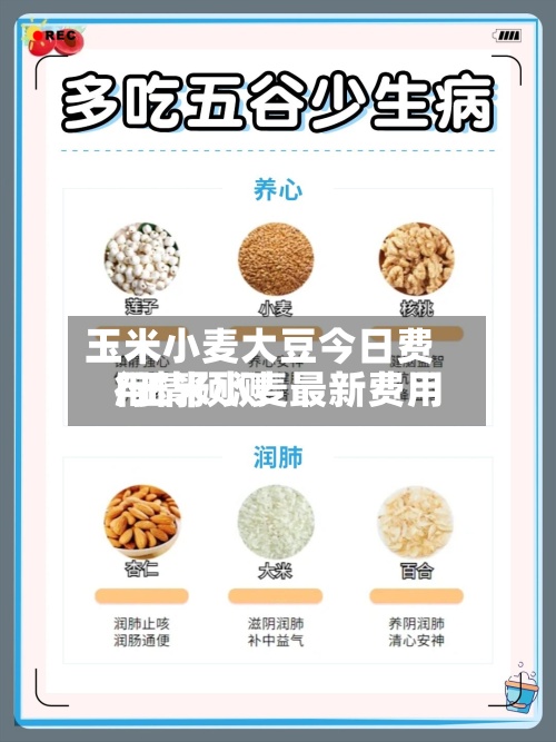 玉米小麦大豆今日费用/玉米小麦最新费用行情预测