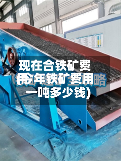 现在合铁矿费用(今年铁矿费用一吨多少钱)-第3张图片