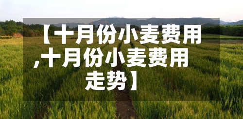 【十月份小麦费用,十月份小麦费用走势】